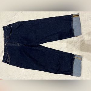 Universal Standard Stevie Jeans